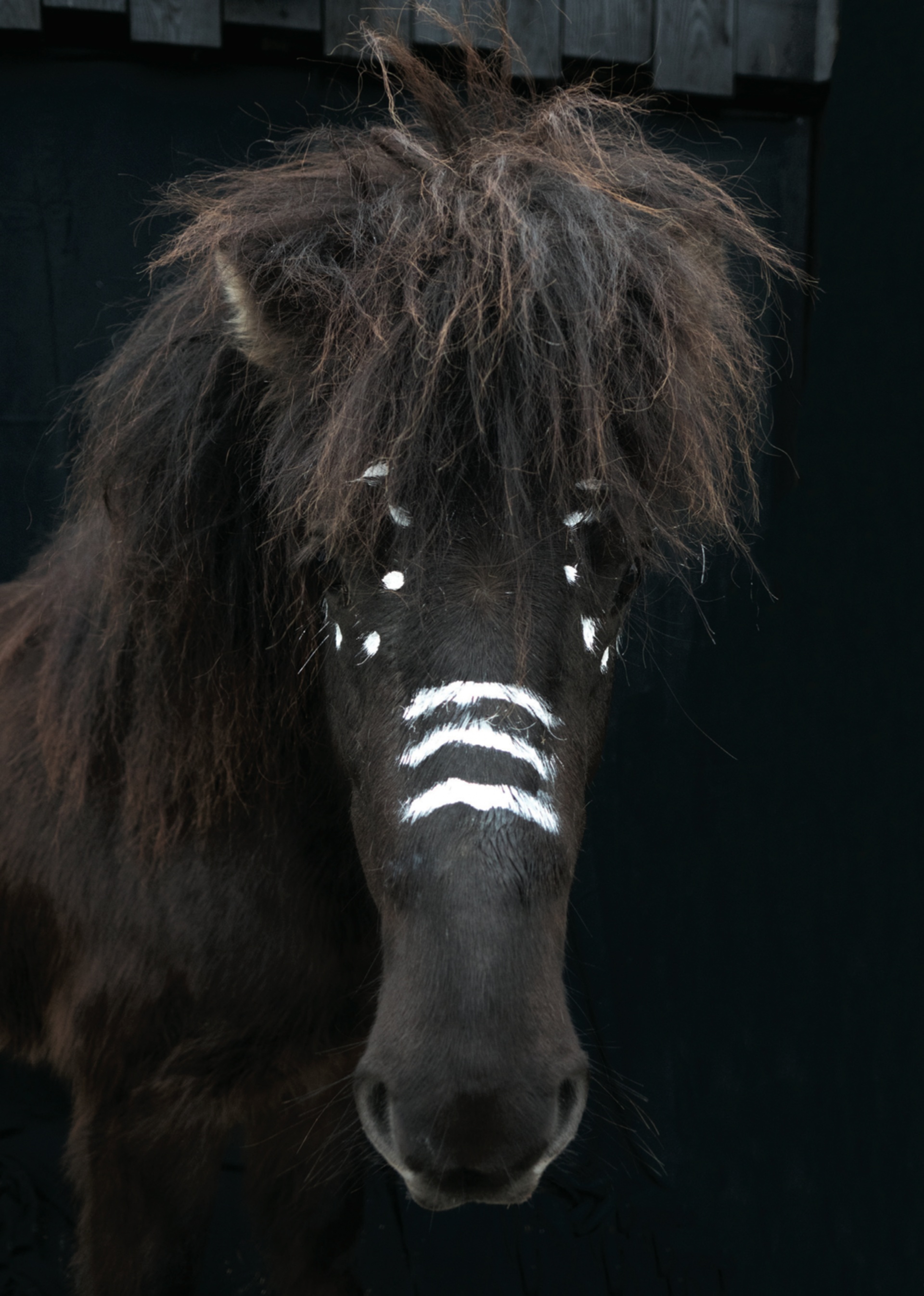 olli