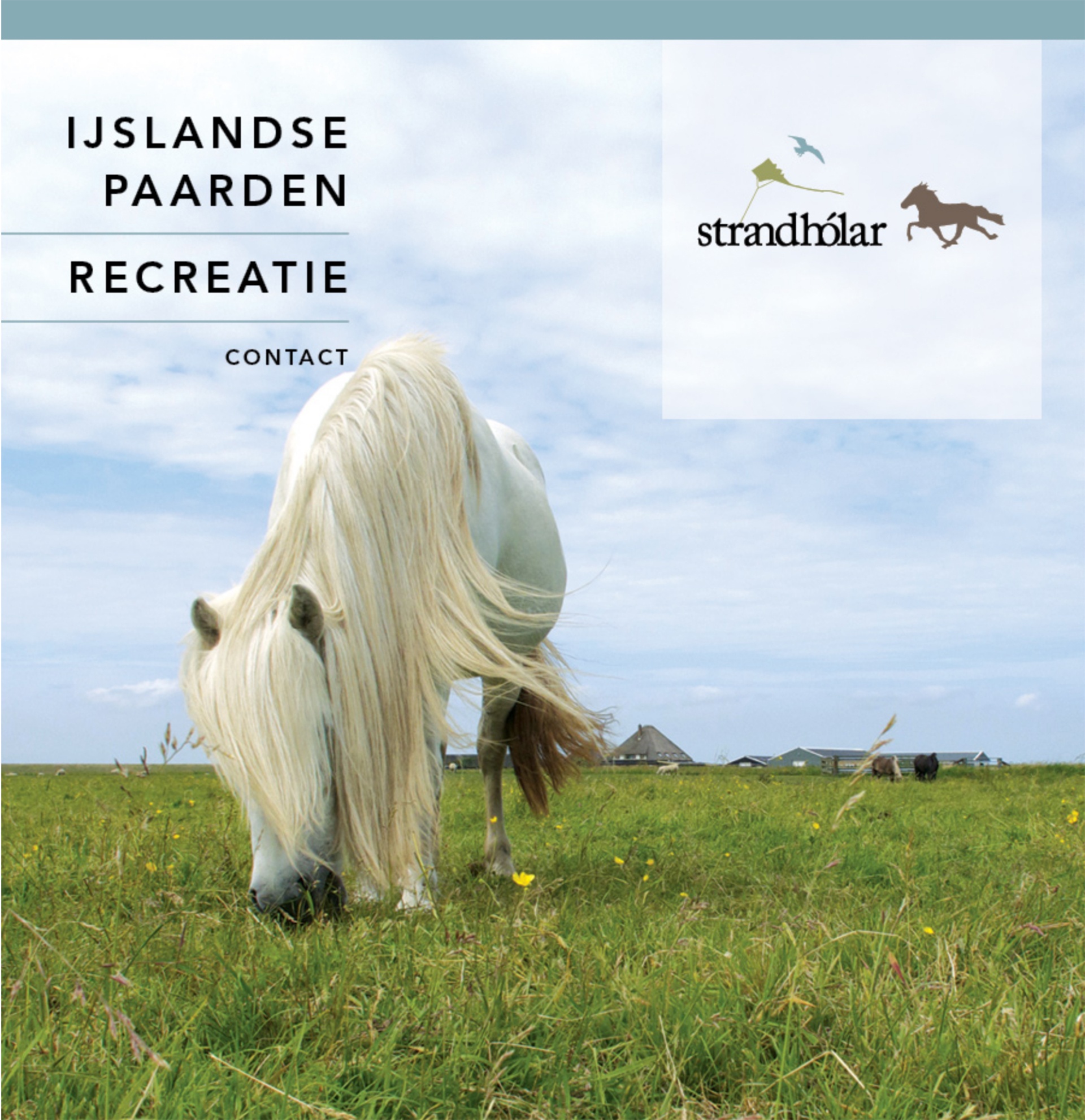 strandholar